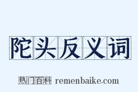 陀头反义词是什么意思的图片